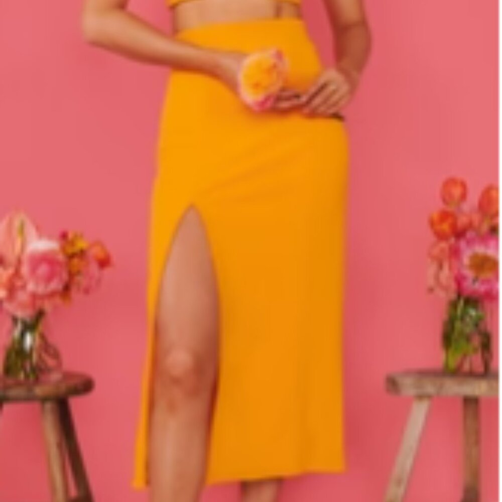 Show Me Your Mumu Cecilia Midi Skirt